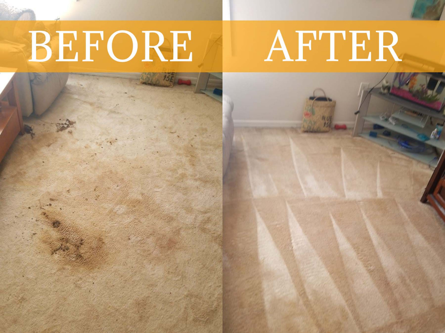 Stain Removal Apopka, Altamonte Springs & Orlando, FL Divine Care